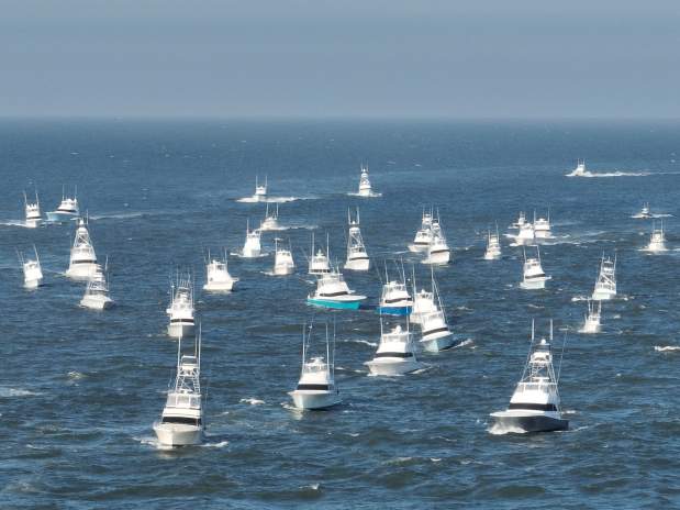 We Asked, You Answered: Your Favorite Summer Event