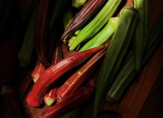Okra
