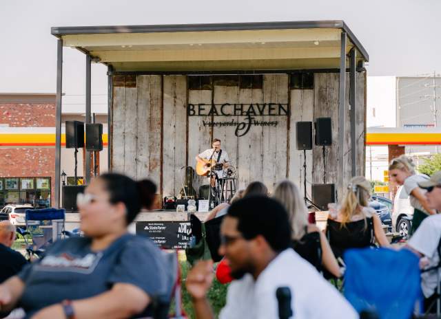 Your Ultimate Summer Live Music Guide in Clarksville