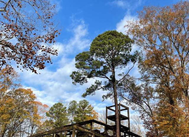Shelby Iron Works Park