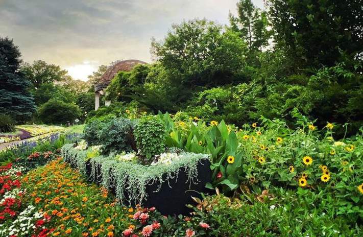 Sunkin Gardens - Fall