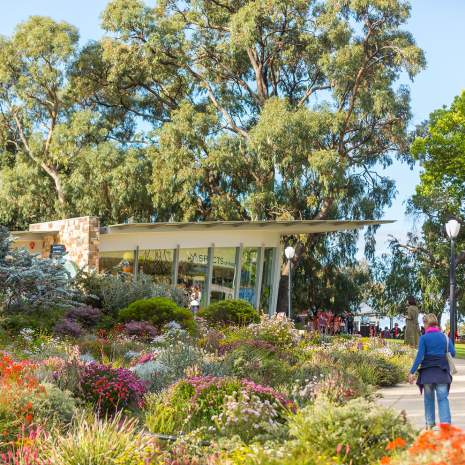 Kings Park, Photo by Jason Thomas