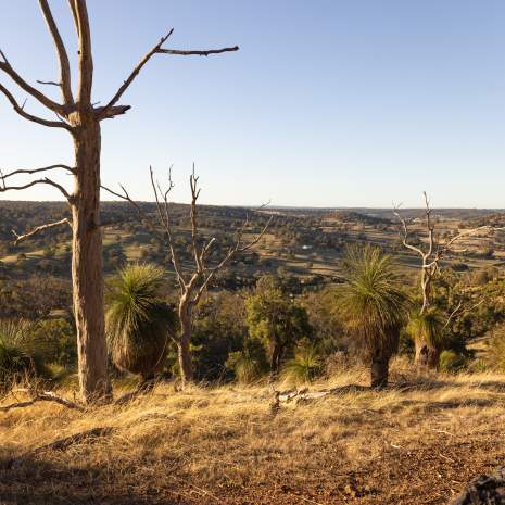 Aerial of Chittering