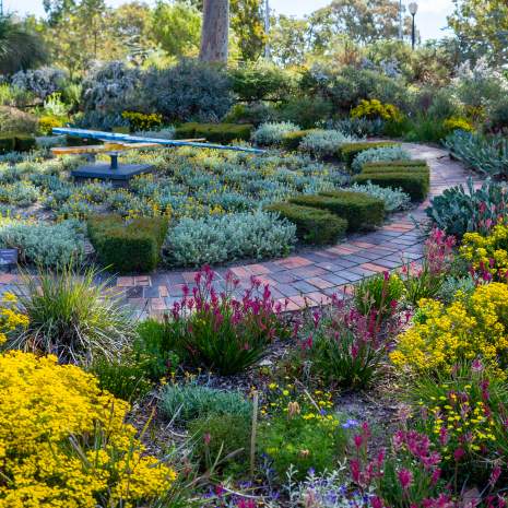 Kings Park Botanic Garden