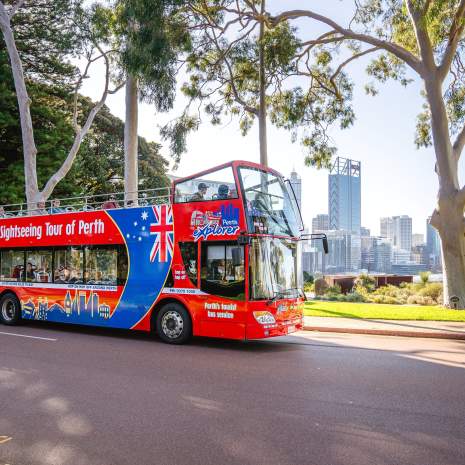 Perth Explorer Bus Tour, Kings Park