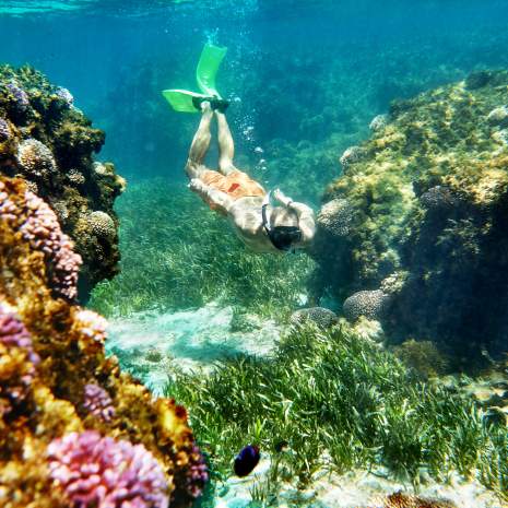 Snorkelling, Rottnest Island