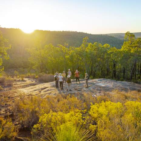 The Hike Collective, Perth Hills