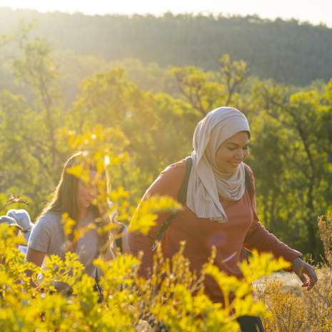 Hiking through wildflowers near Mundaring with The Hike Collective, Perth Hills