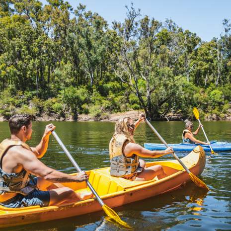 Kayak the waterways near Dwellingup