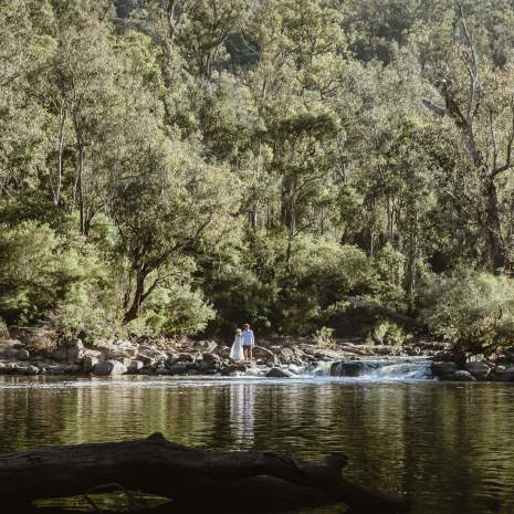Lane Poole Reserve - Sarah Coote