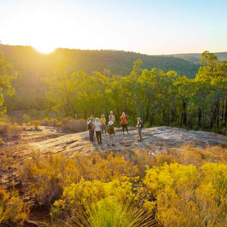 Hiking near Mundaring with The Hike Collective, Perth Hills