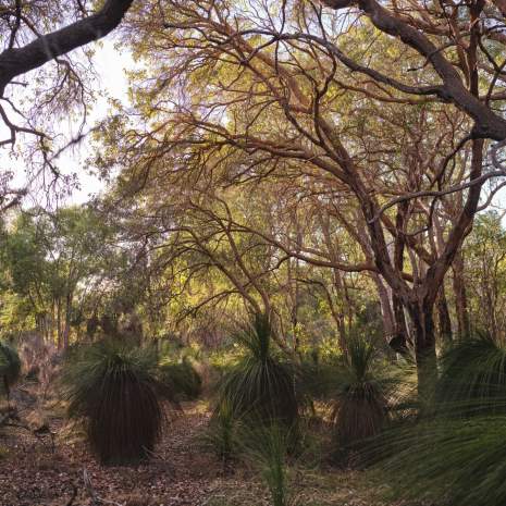 Sir Frederick Samson Memorial Reserve