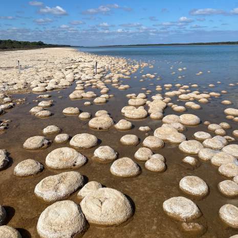 Yalgorup National Park