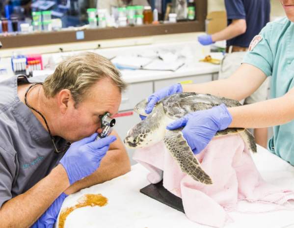 Behind-the-Scenes Tour Planning 2026 Concert Tours USA