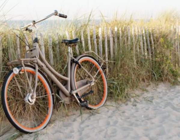 Beachview bikes new arrivals