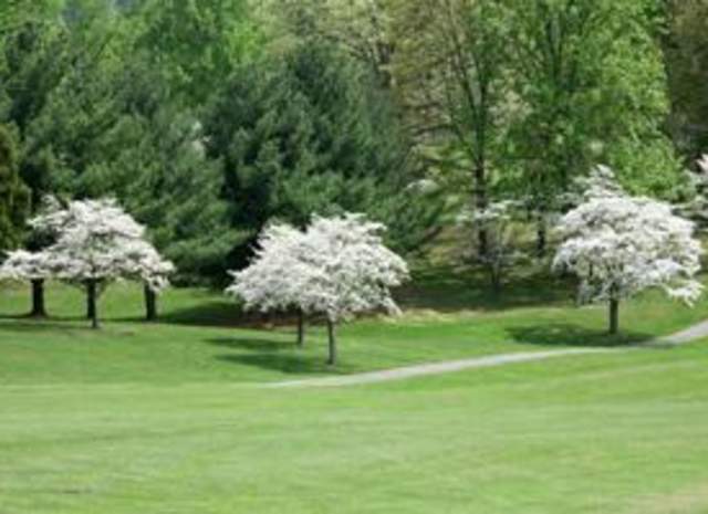 Castle Rock Golf Course