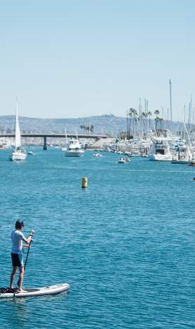 Paddleboard Sports Outdoor Beach