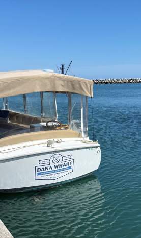 Dana Wharf Duffy