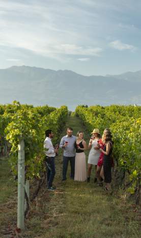 Volcanic Hills Estate Winery Guided Tour in Vineyard 6