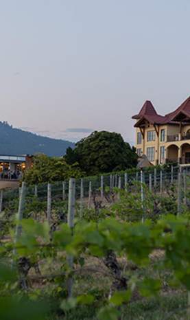 DTN - STL - Gray Monk Estate Winery