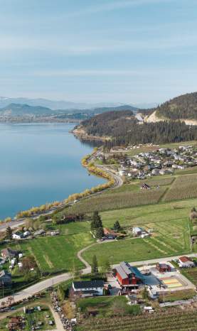 Aerial of Orchards & Wood Lake