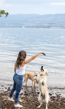 Dogs at Cedar Creek Dog Beach (4)