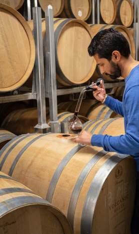Volcanic Hills Winery-Bobby Gidda President