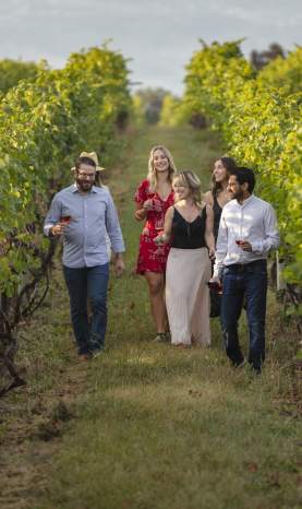 Volcanic Hills Estate Winery Guided Tour in Vineyard 11