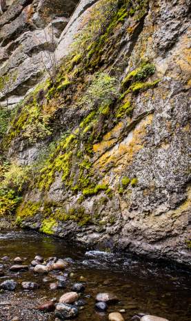 Glen Canyon Regional Park Fall 2