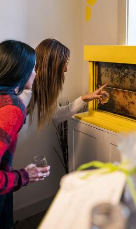 Viewing Bee Hive at Meadow Vista Honey Wines