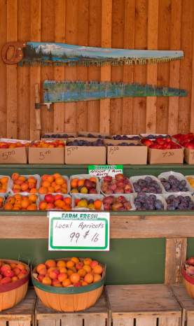 Gatzke Farmers Market