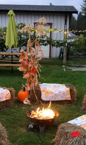 Smokies n' S'mores Meadow Vista