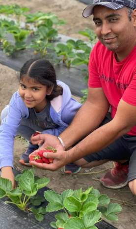 KLO Farm Market Family