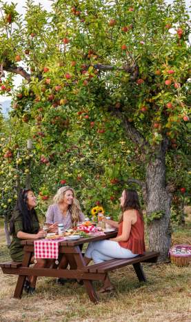 Orchard Picnic at The View and Wards Cider