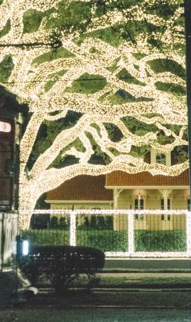 Christmas Lights on St. Charles Avenue