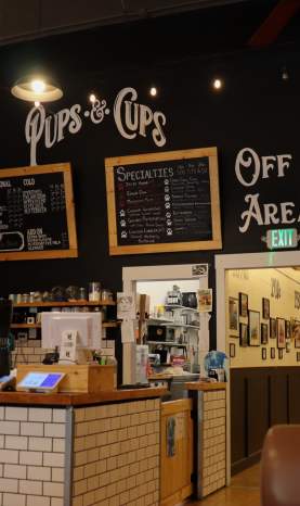 Sarah Seeks Adventure Pups & Cups