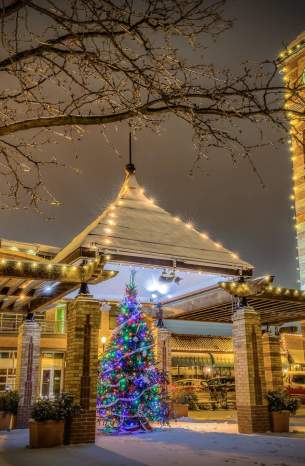 Mayor's xmas tree lighting