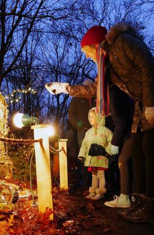 Luminary walk