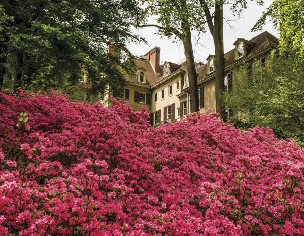 Winterthur Museum, Garden & Library