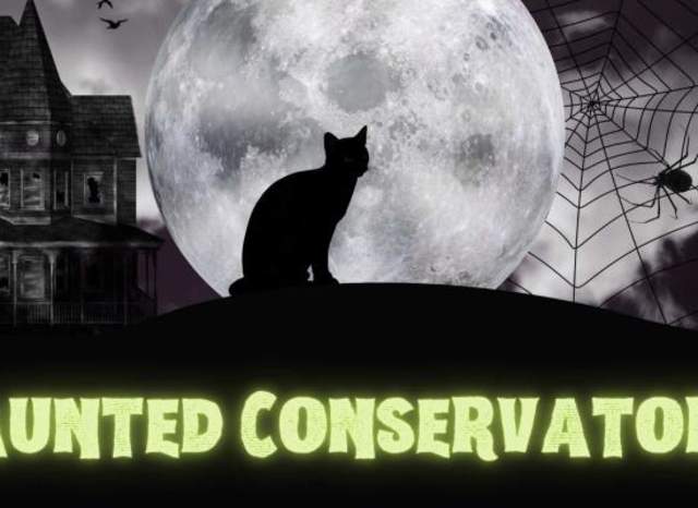 Haunted Conservatory