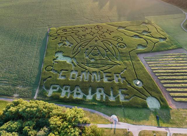 Conner Prairie Corn Maze
