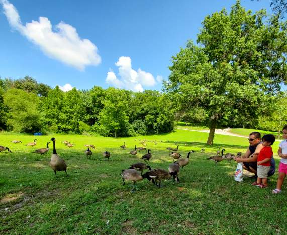 Wyandotte County Lake Park