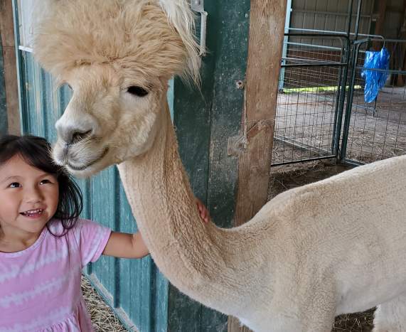 Manna Meadows Alpaca Farm