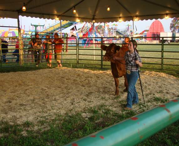 Wyandotte County Fair
