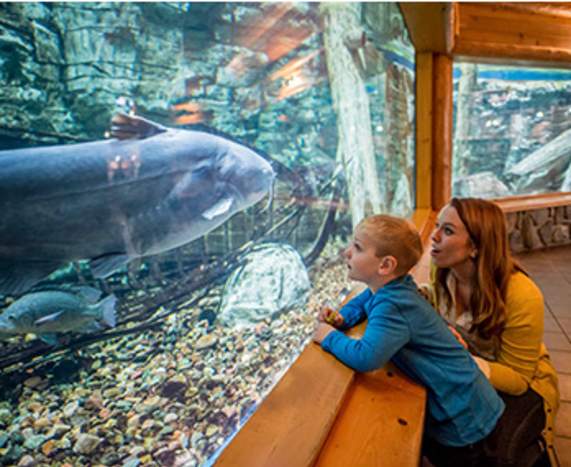 The Aquarium Welcomes Some New Members to the Family