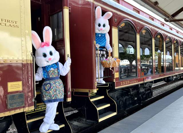 Easter Bunny Express