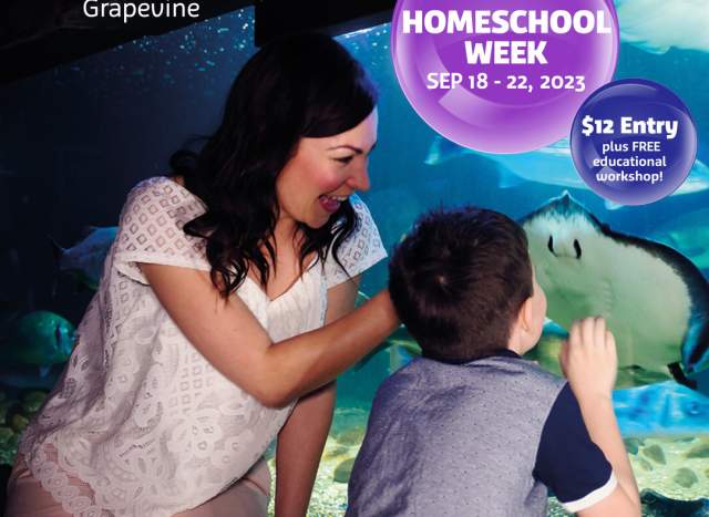 Homeschool Week at SEA LIFE Grapevine