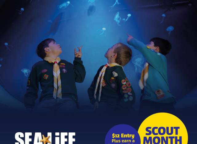 Scout Month at SEA LIFE Grapevine