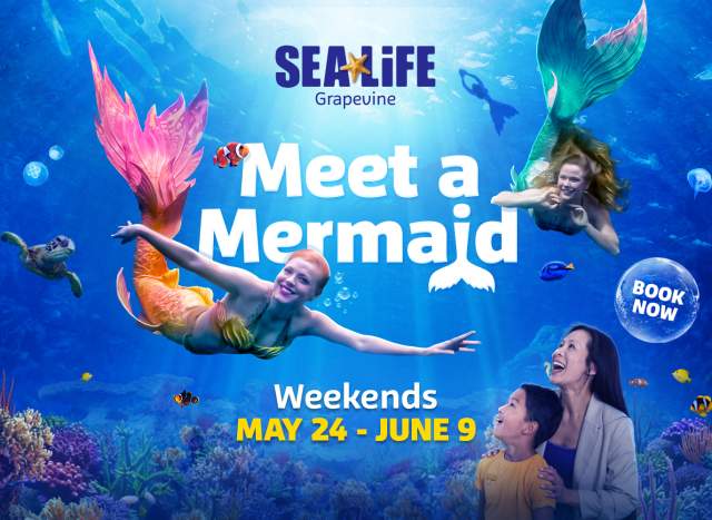 Meet a mermaid at SEA LIFE Grapevine Aquarium