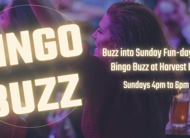 Bingo Buzz | Sunday Fun at Harvest Hall!